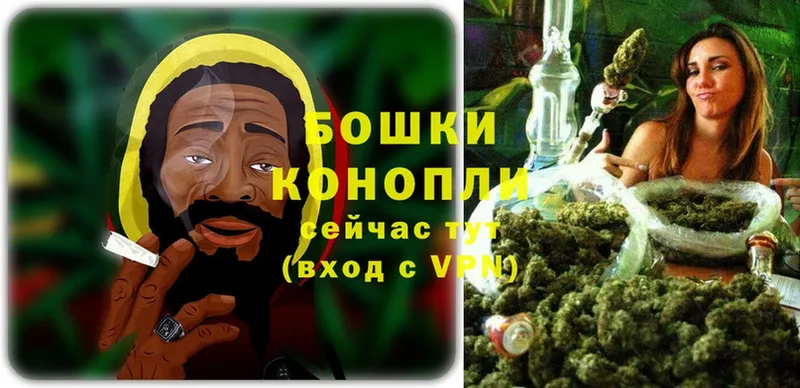 купить наркотики цена  Лермонтов  Бошки марихуана SATIVA & INDICA 